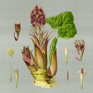 Read more about the article Пасадкі пад Мінскам. Палявыя нататкі культуролага-даўншыфтара